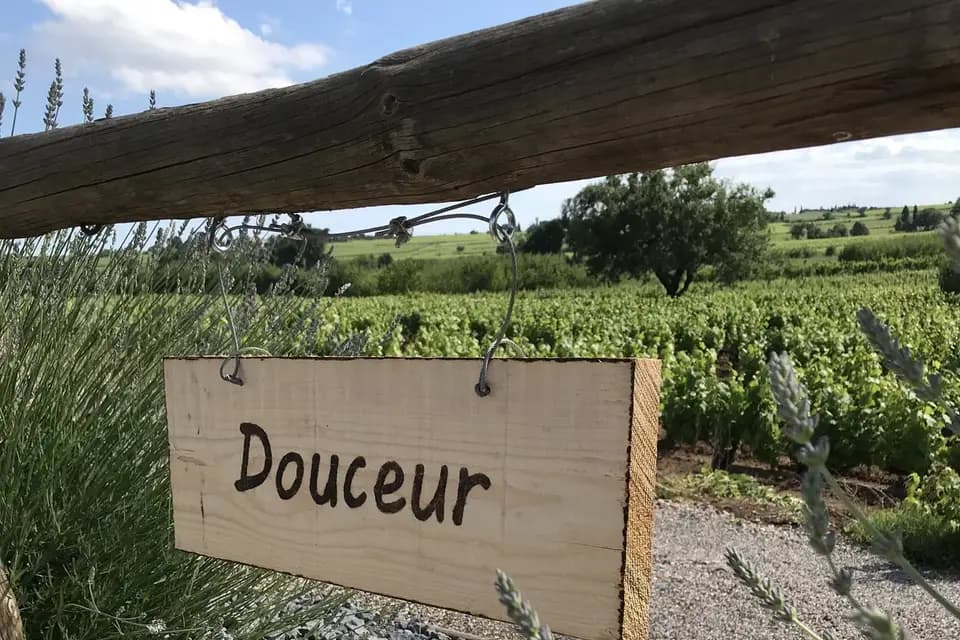 Domaine des Laux — photo 5