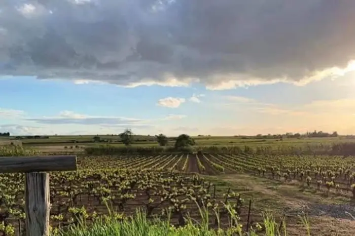 Domaine des Laux — photo 8