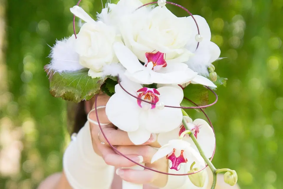 Chloé Clomail Photography — photo 7