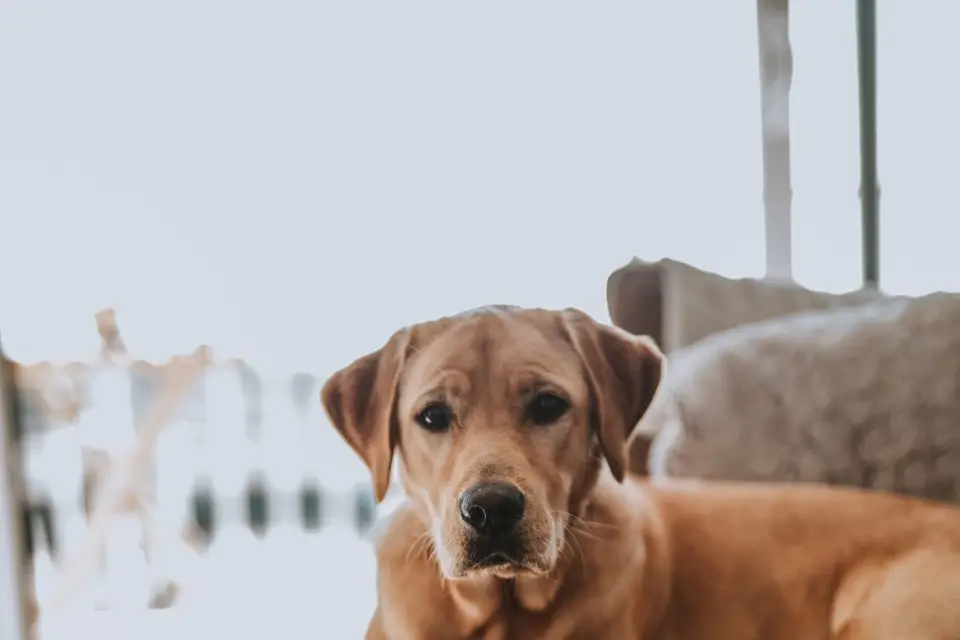 Laure Aulner Events — photo 3