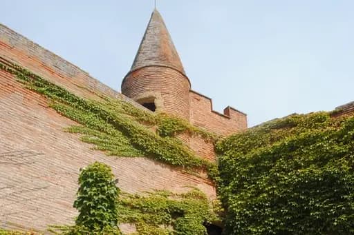 Château de Palays — photo 7