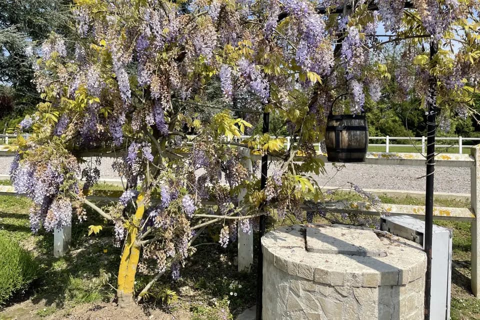 Manoir des Essarts — photo 2