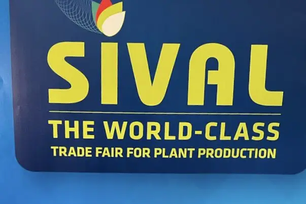 Frites & Cie — photo 4