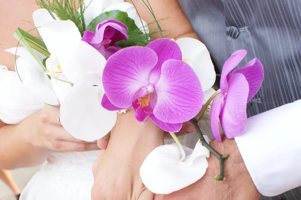 Lafeedecos — photo 3