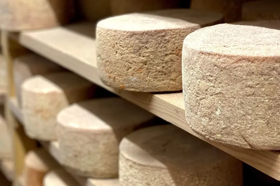 Azkena Bideko — photo 7