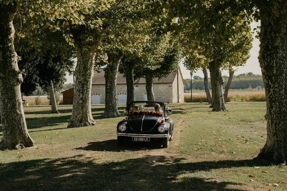 Château de Cantecort — photo 4