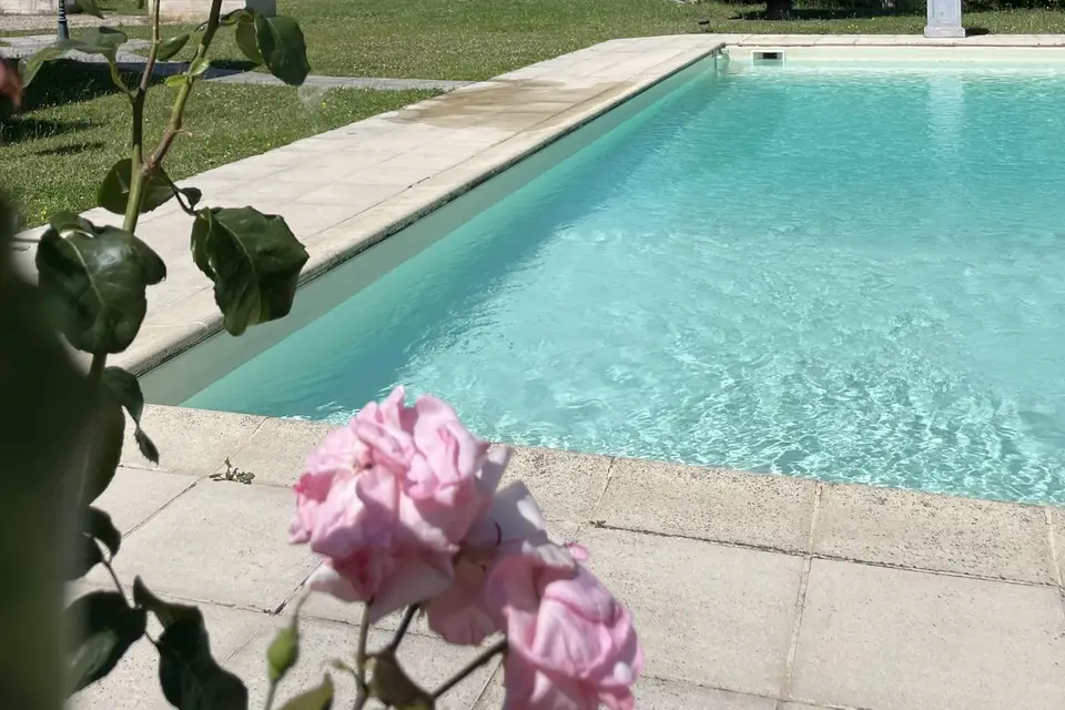 Domaine du Roc Blanc — photo 8