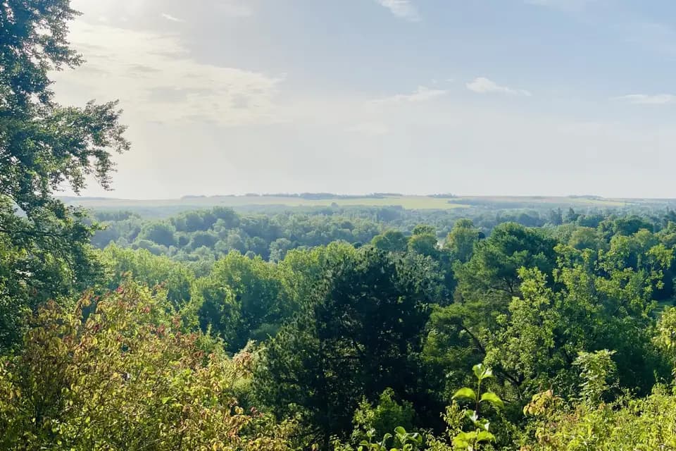 Domaine du Roc Blanc — photo 3