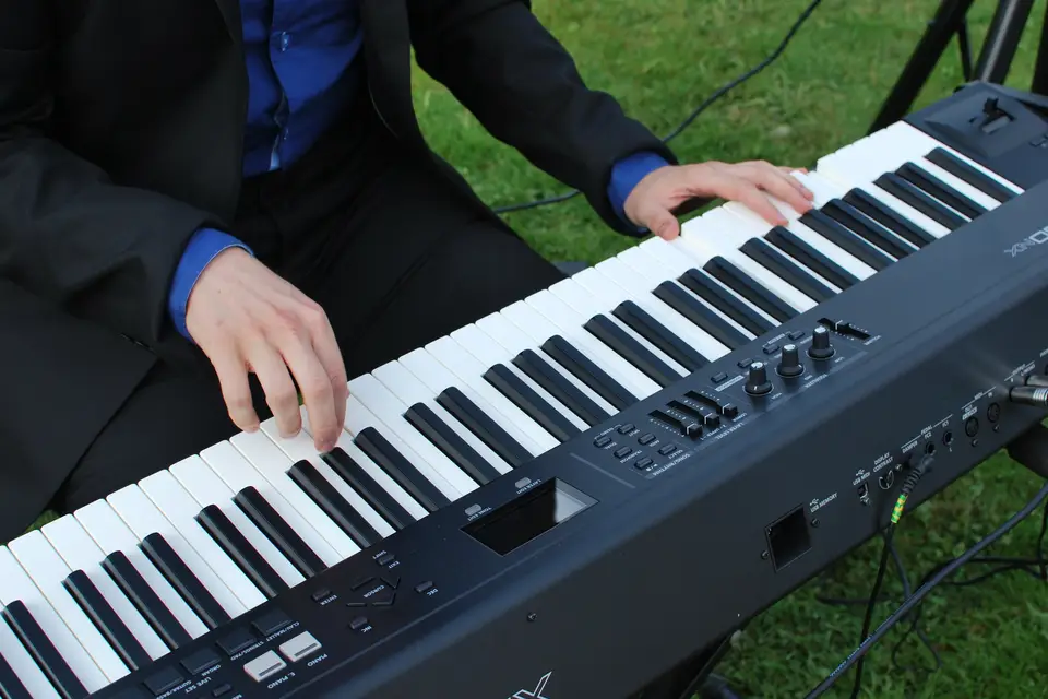 Pianogues — photo 5