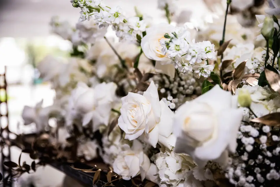 Weddingdream Event — photo 3