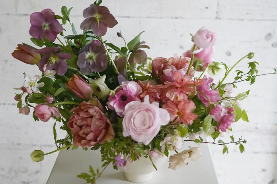 Daphné Fleurs — photo 3