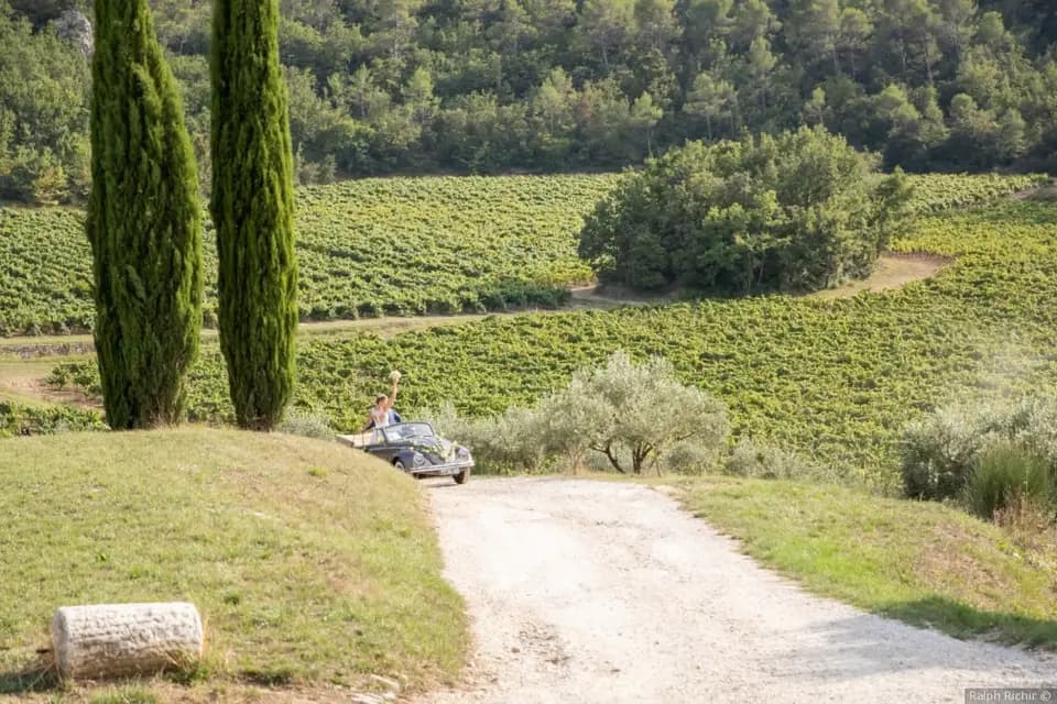 Château de Cancerilles — photo 4