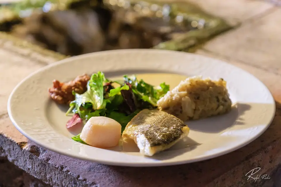 Château de Cancerilles — photo 5