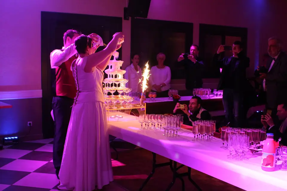 DLR Animation — photo 7