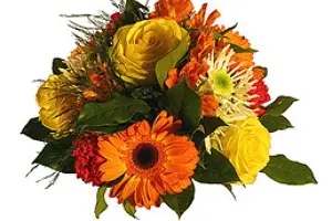 Multiflor — photo 5