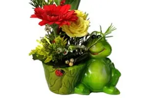 Multiflor — photo 3