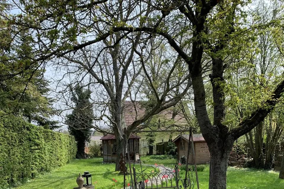 La Cour de Lise — photo 8