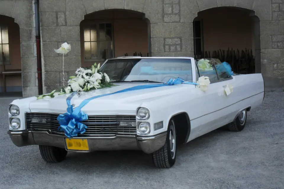 Sebastia — photo 2