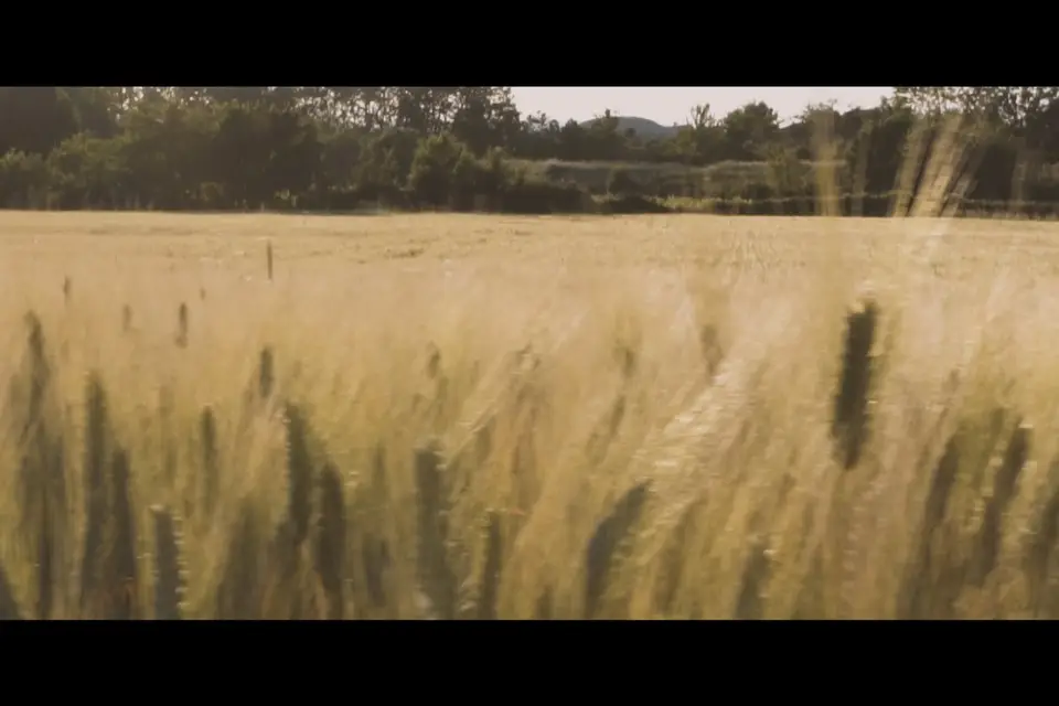 Selfmade Media House — photo 8