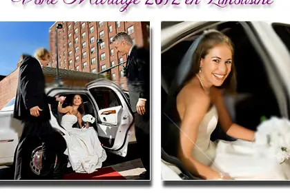 Limousine Brest Bretagne — photo 1