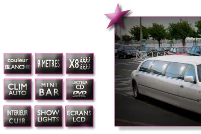 Limousine Brest Bretagne — photo 5
