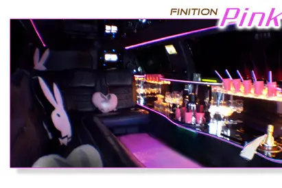 Limousine Brest Bretagne — photo 7