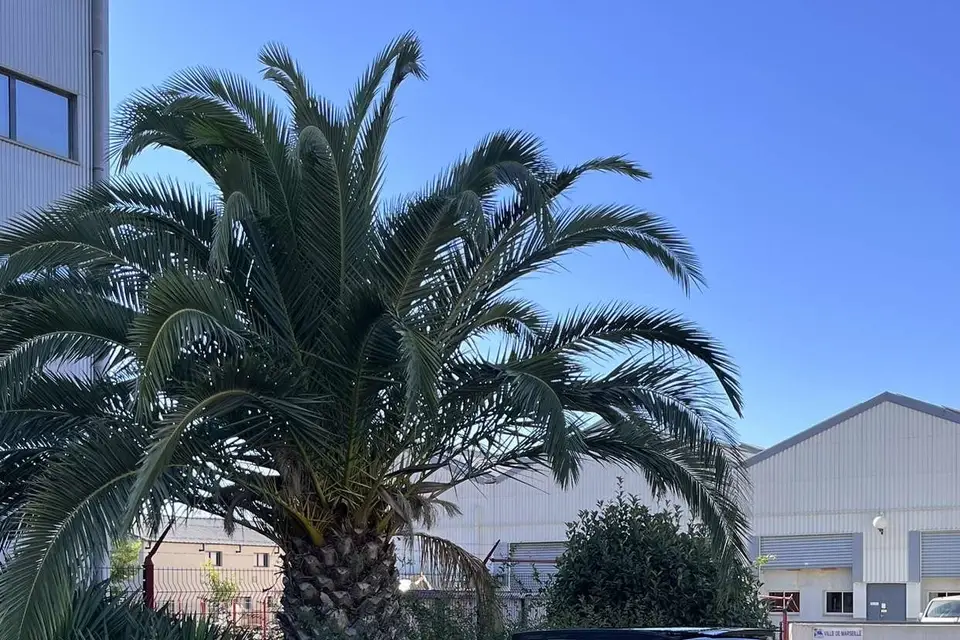 Locamion13 — photo 4