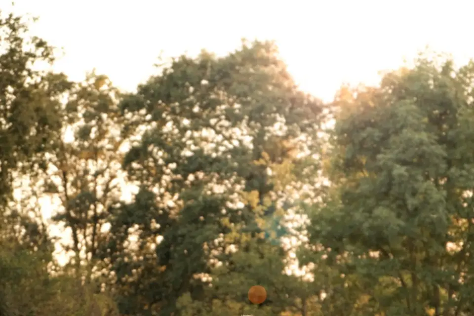 Effet Portrait — photo 1