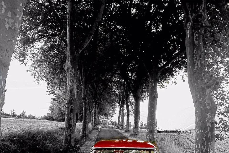 Bora-Bora — photo 4