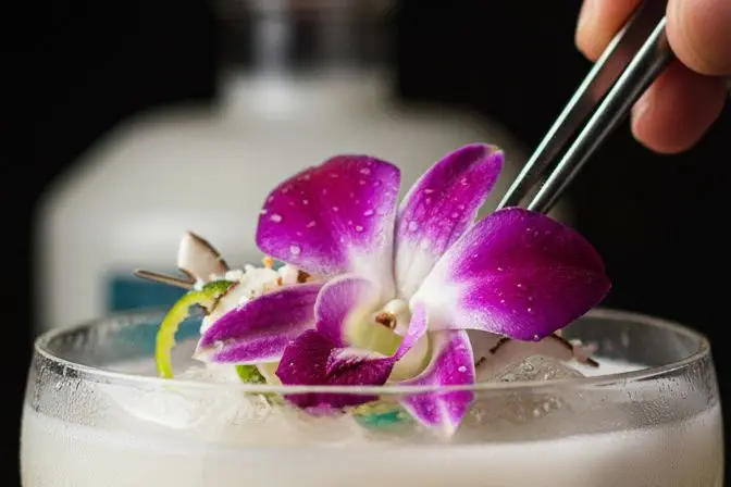 Fosa Indigo Spirits — photo 7