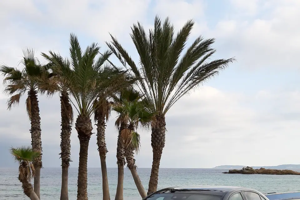 Premium Azur Vtc — photo 5