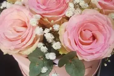 Fleur d´Arum — photo 5