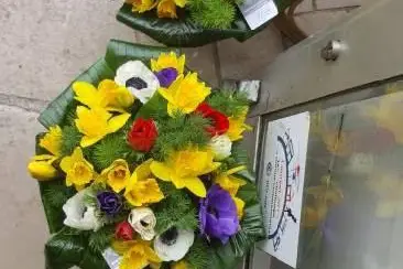 Fleur d´Arum — photo 7