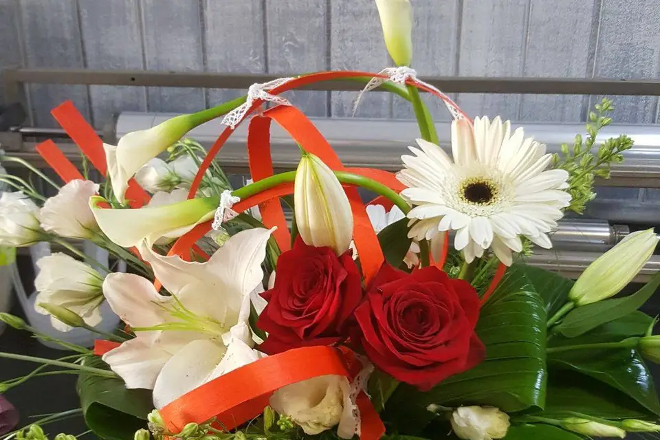 Fleur d´Arum — photo 1