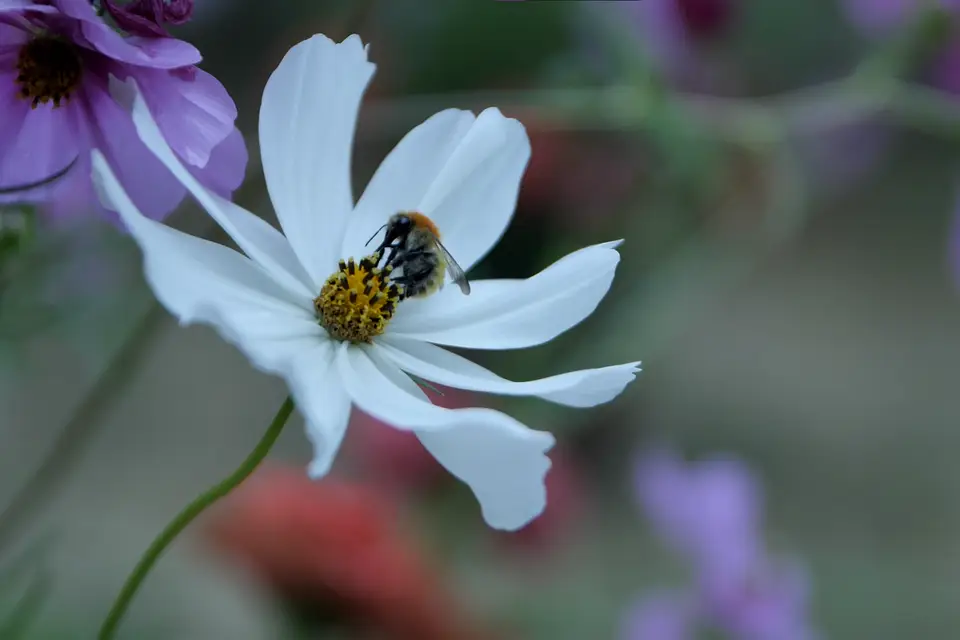 B2M Production — photo 3