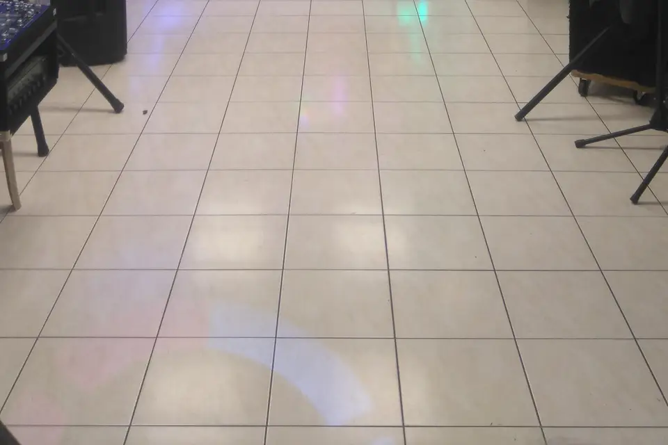 Moon Light — photo 7