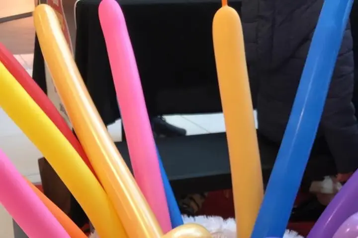 Anim' & vous — photo 8