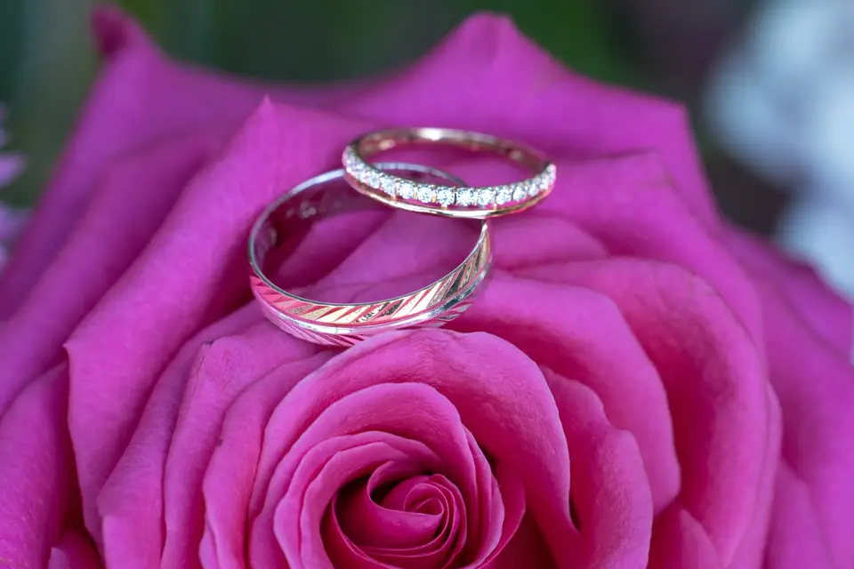 Zeste Par Bastien — photo 1