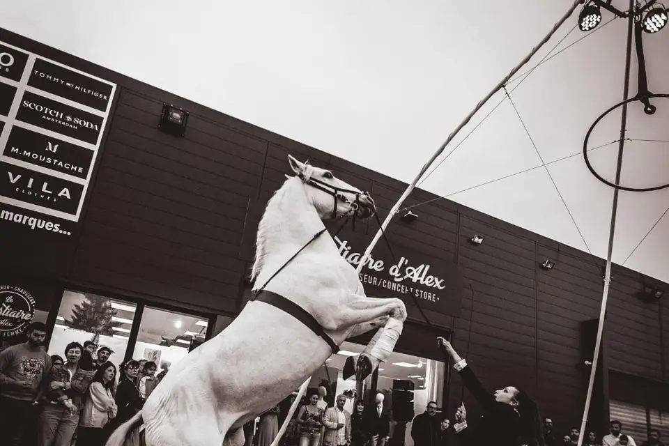 Compagnie Nadal — photo 5