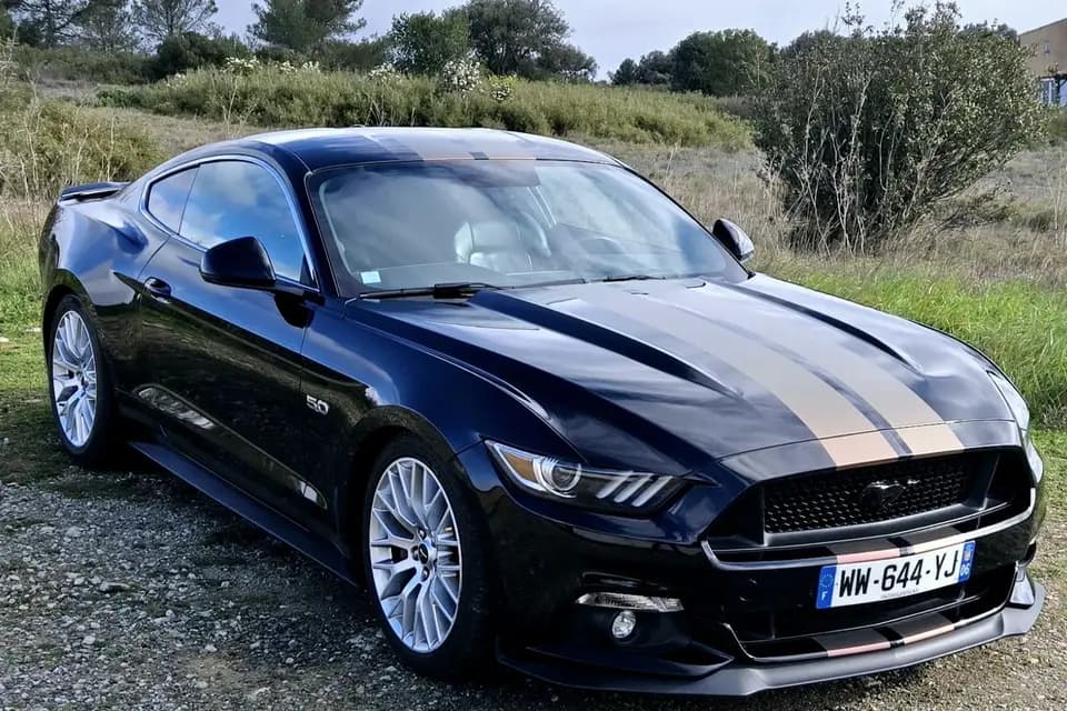 Dejonghe — photo 1