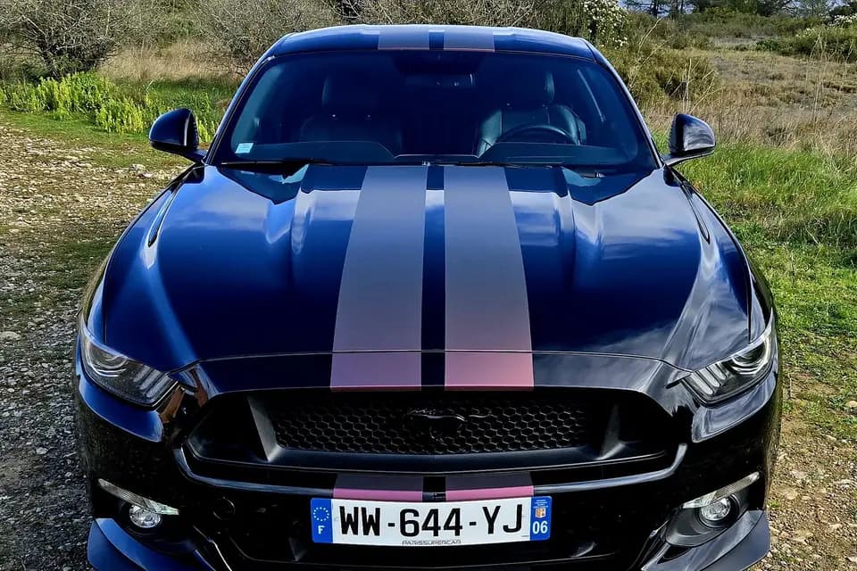 Dejonghe — photo 3