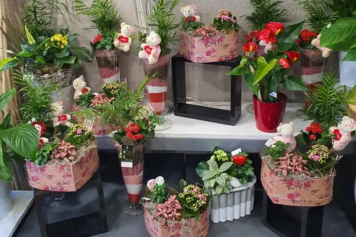 Nuance Florale — photo 8