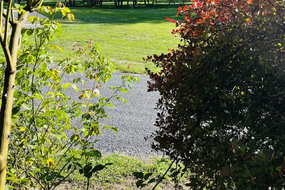 La Verrerie de Saint Gond — photo 4