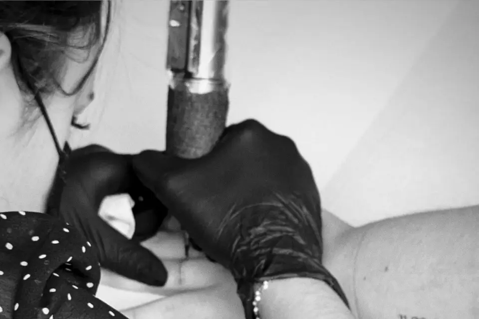 Artariumex — photo 1