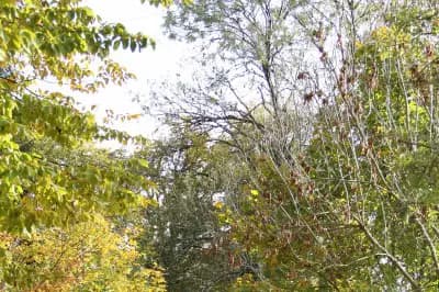 Château d'Artois — photo 5