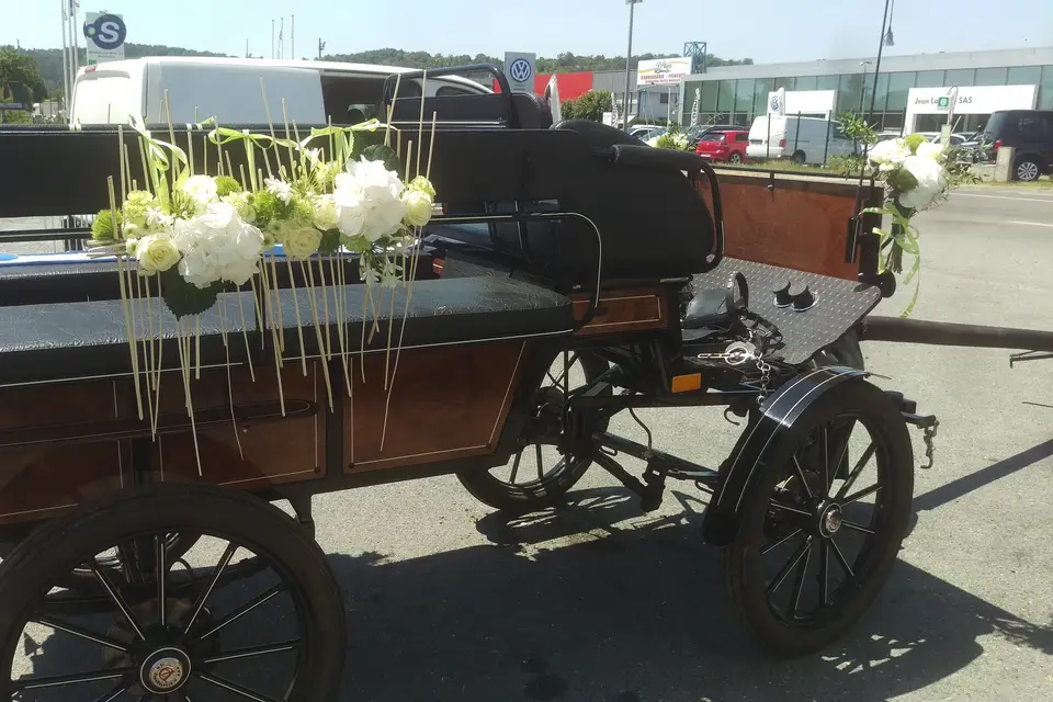 Les Calèches des Chevaux de Bois — photo 4