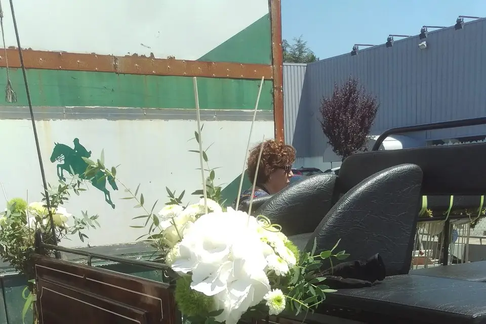 Les Calèches des Chevaux de Bois — photo 5