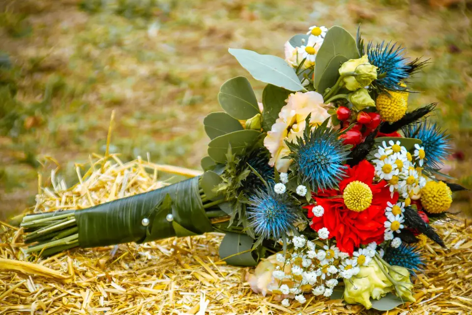 Lovebirds — photo 2