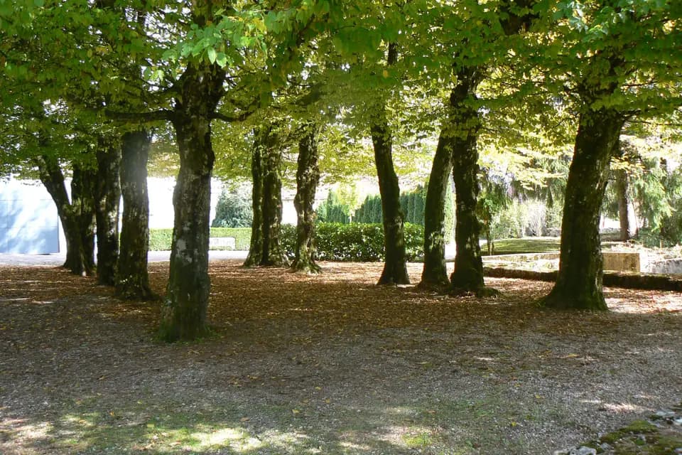 Château d'Artois — photo 8