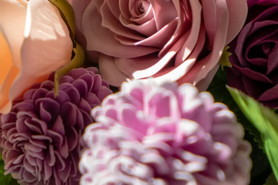 Corté France — photo 8